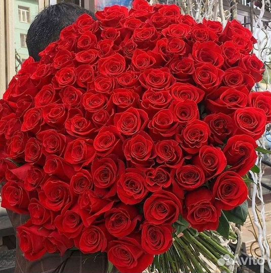 Высокие розы Гигантские розы 110 Доставка цветов