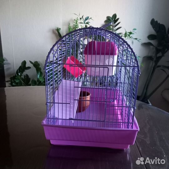 Клетка для джунгарского хомяка