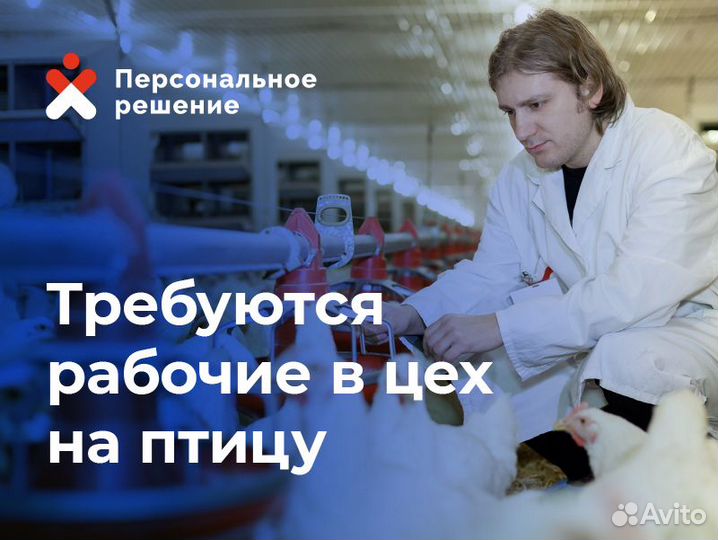 Разнорабочие с ежедневной оплатой