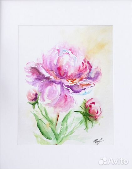 Картина акварелью Пион
