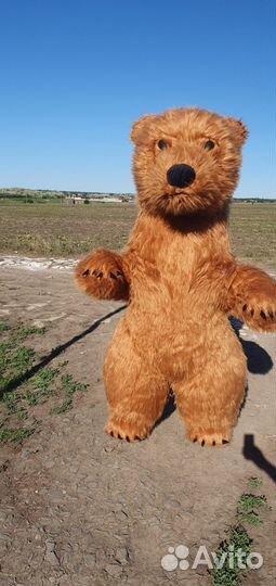 Аэромедведь