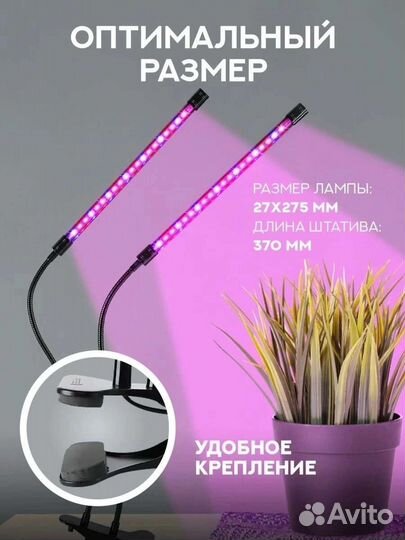 Фитолампа для растений