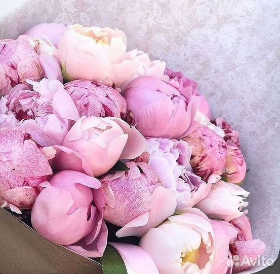 Пионы Букет пионов