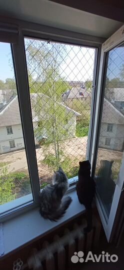 Решетка антикошка металлическая