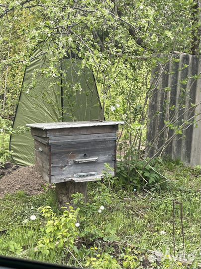 Ульи для пчел