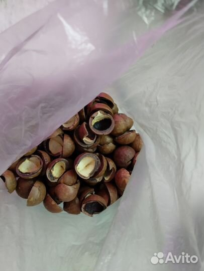 Скорлупа макадамии для Анны