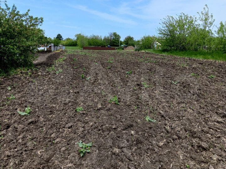 Участок 17,3 сот. (СНТ, ДНП)