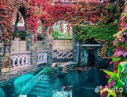 3в1 (Кабардинка,Новороссийск,Абрау-Дюрсо)