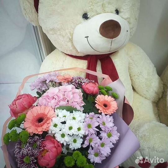 Мишки и акулы плюшевые