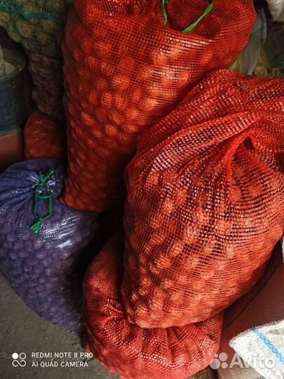 Грецкий орех