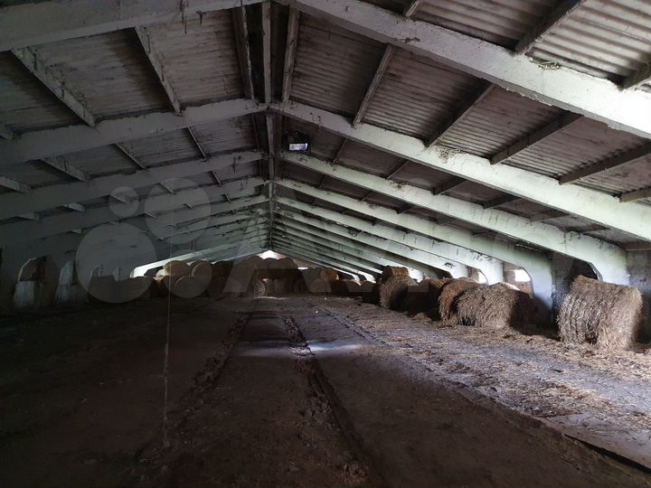 Здание, 1800 м²