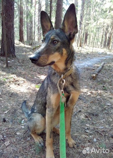 Мальчишка самый красивый