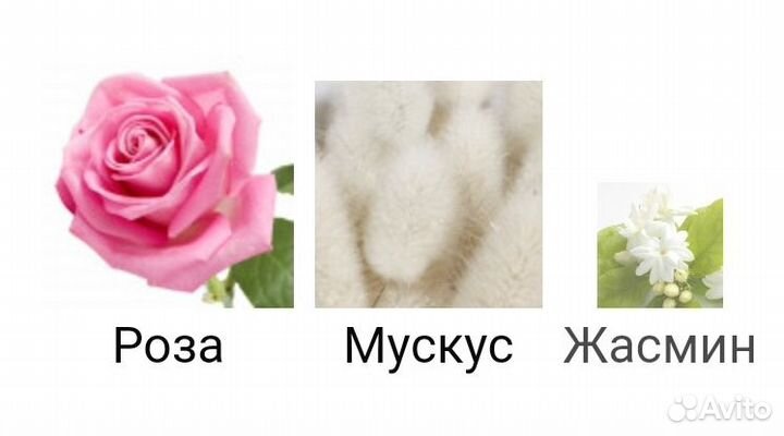 Парфюм Montale Roses Musk 100 ml. ОАЭ