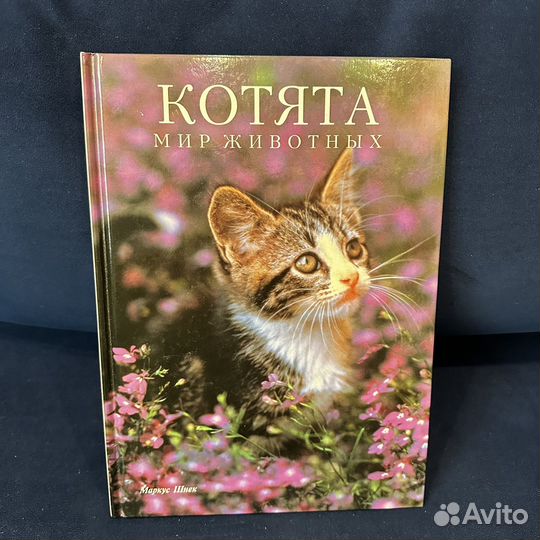 Шнек М. Котята