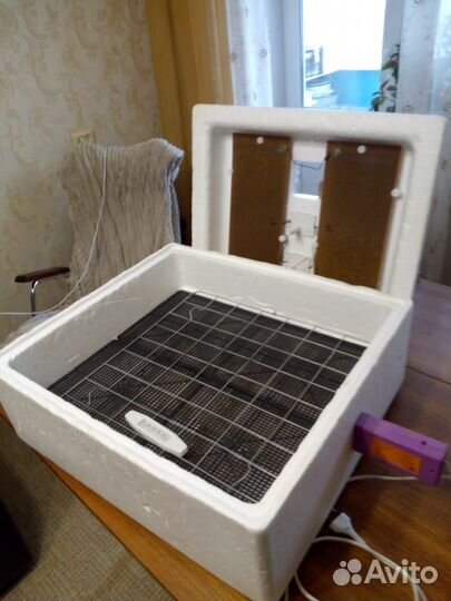 Клетки, инкубатор