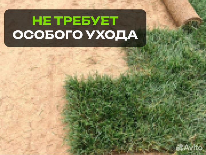 Рулонный газон Спорт. От производителя