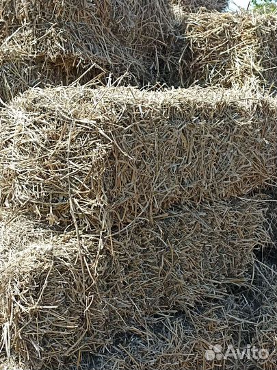 Сено люцерны в тюках