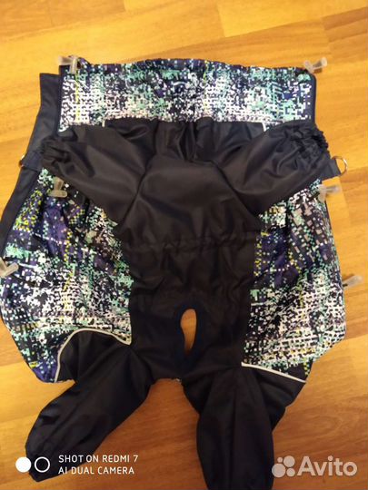 Одежда для животных