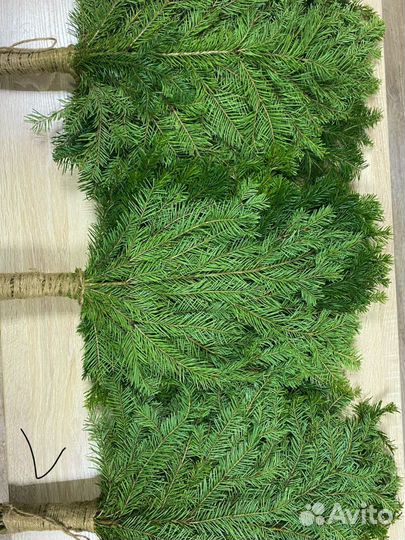 Пихтовые веники