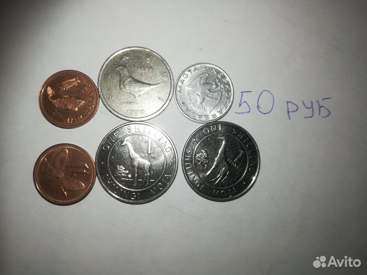 Монеты сво zov монетовидные жетоны,звери