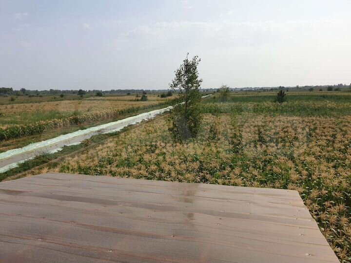 Участок 5 га (СНТ, ДНП)