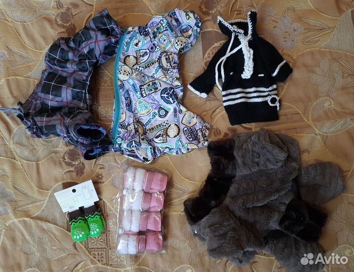Одежда и обувь для маленьких собак