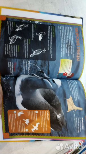 Новейшая энциклопедия для современных школьников