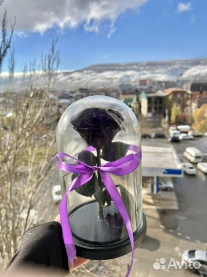 Роза в колбе