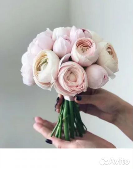 Ранункулюс цветы розы