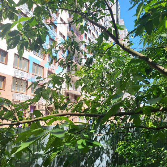 2-к. квартира, 65 м², 16/24 эт.