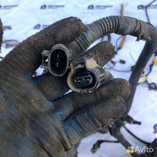 Проводка подкапотная Chevrolet Lanos