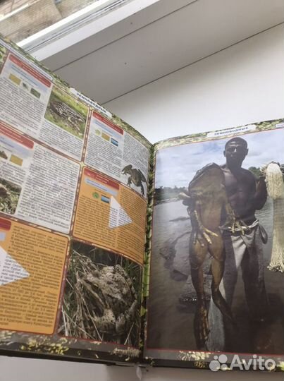 Энциклопедия для детей