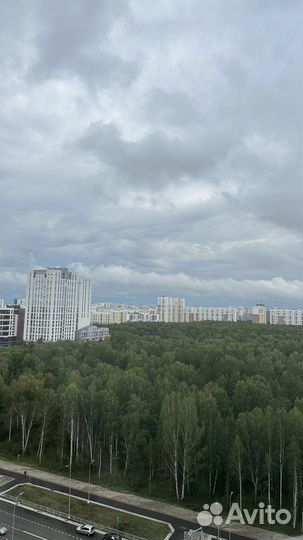 Робот мойщик окон аренда