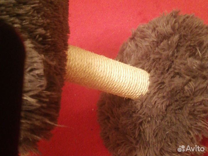 Продам когтеточку для кошек