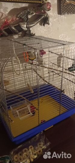Клетка для попугая
