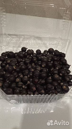 Продам черную и красную смородину (ягода)