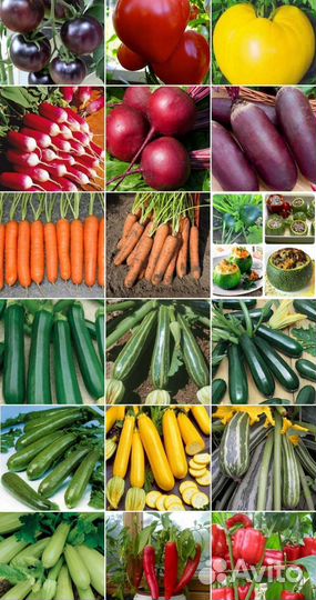 Семена цветов и овощей, Наборы для рассады