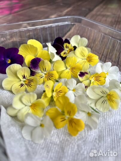 Виола - пищевые цветы