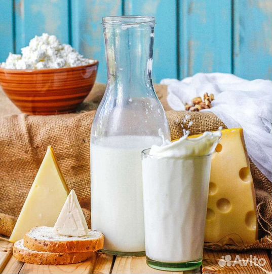 Молоко творог сыр масло