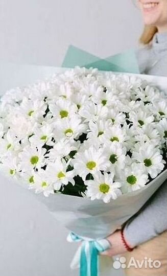 Хризантема Букет хризантем Доставка