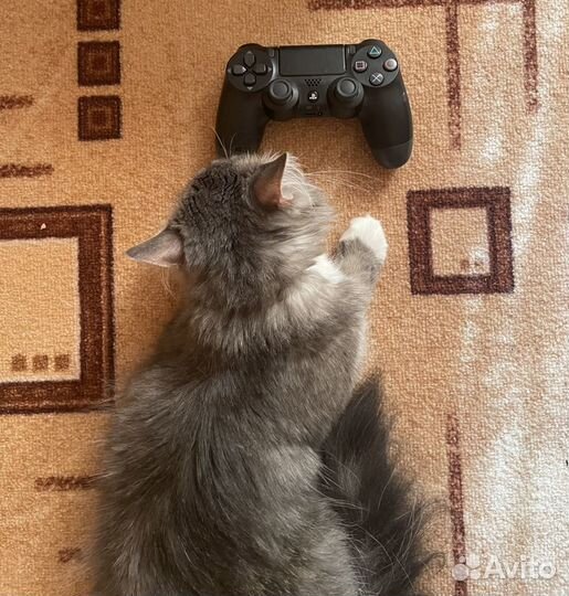 Оригинальный джойстик ps4