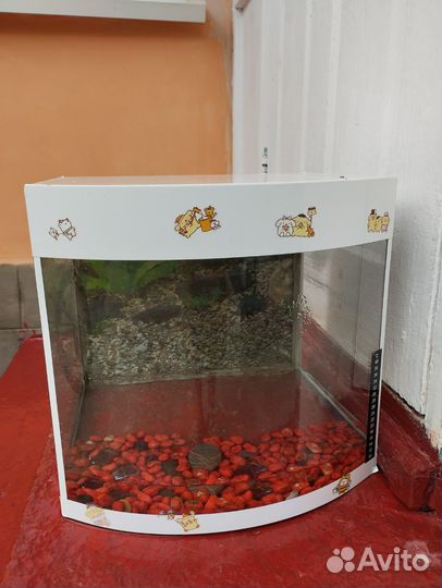 Аквариум на 25 л