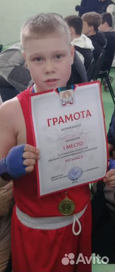 Секция бокса
