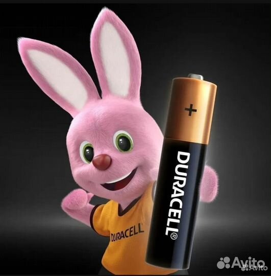 Батарейки Duracell AA 1,5В, 12шт (пальчиковые)