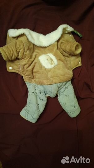 Одежда для собак