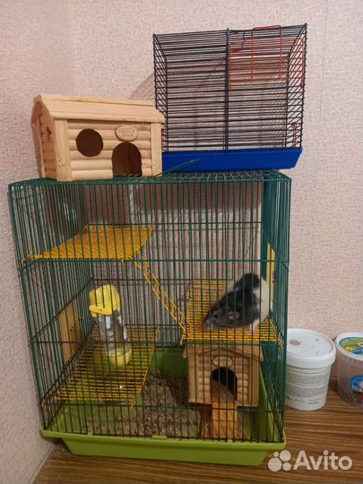 Крыс с клеткой