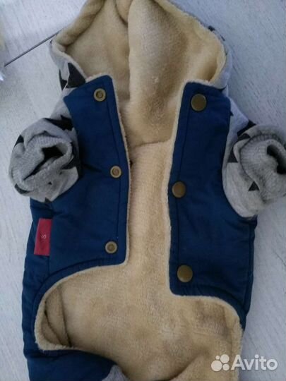 Одежда для маленьких собак