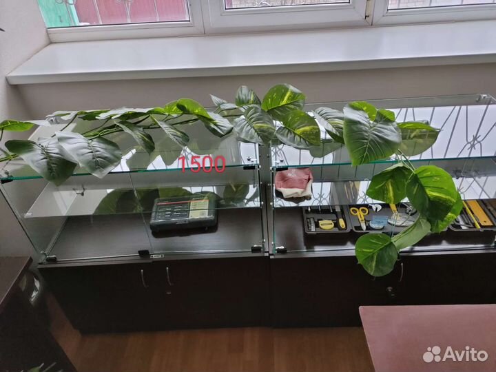 Искусственный фикус