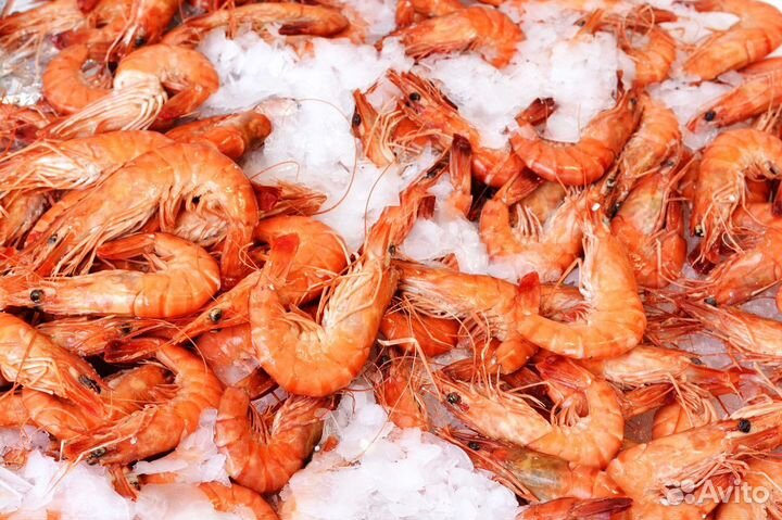 Готовый бизнес: рыбный магазин с клиентами