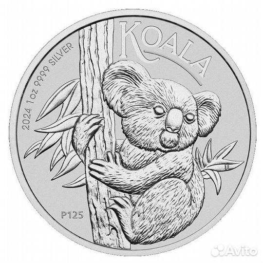 Коала 2024, 2023, 2021 Австралия монеты